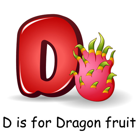 Fruits alphabet: D is for Dragon Fruitsのイラスト素材