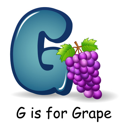 Vector illustration of Fruit alphabet: G is for Grapeのイラスト素材