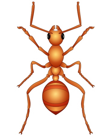 Cartoon ant isolated a white backgroundのイラスト素材