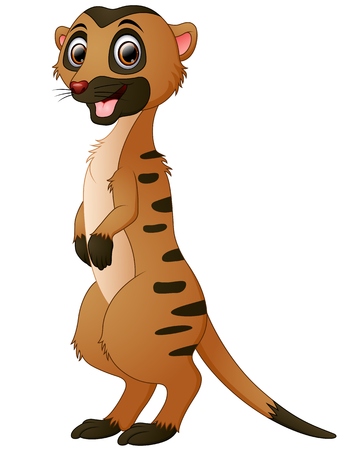 Cute meerkat cartoonのイラスト素材
