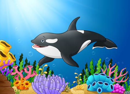 Vector illustration of Cute killer whale under waterのイラスト素材