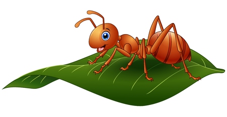 Vector illustration of Cartoon ant on the leafのイラスト素材
