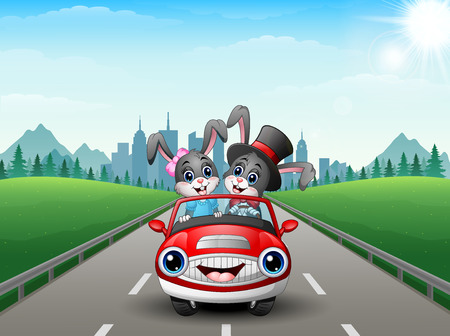 Vector illustration of Couples rabbit cartoon driving a car on city backgroundのイラスト素材
