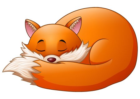 A Vector illustration of cute fox cartoon sleeps on white background.のイラスト素材