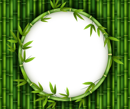Illustration of bamboo trees in frame natureのイラスト素材