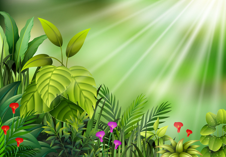 Botanical plant view on sun lightのイラスト素材