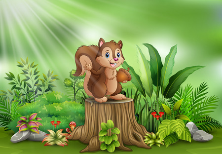 Cartoon funny squirrel holding pine cone and standing on tree stumpのイラスト素材