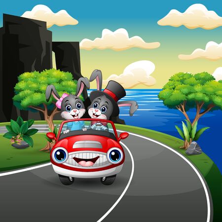 Couples rabbit cartoon driving a car in the seaside roadのイラスト素材