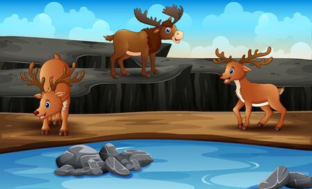Scene with many deer at the open zooのイラスト素材