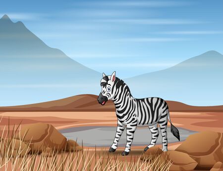 Cartoon a zebra living in dry landのイラスト素材