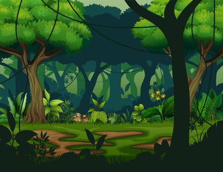 Dark rainforest with trees backgroundのイラスト素材