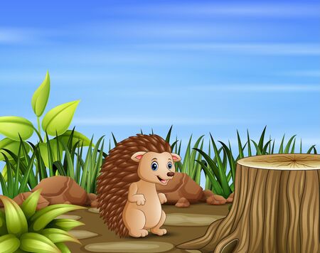 Cartoon hedgehog in the fieldのイラスト素材