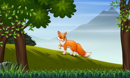 A fox looking for prey on the hillのイラスト素材