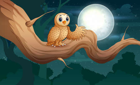 Owl sitting on tree branch at night illustrationのイラスト素材