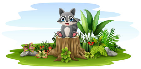 Cartoon little raccoon sitting on tree stumpのイラスト素材