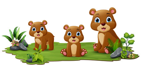 Cute family bear cartoon in the grassのイラスト素材