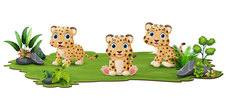Cute three leopard cartoon in the grassのイラスト素材