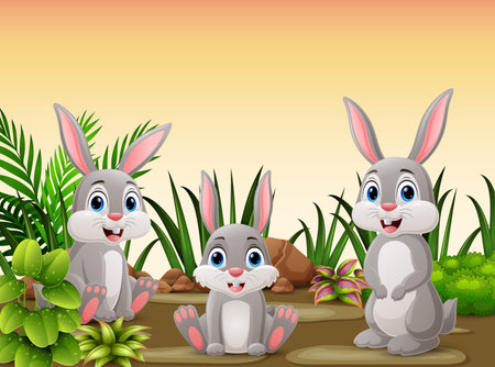 Cute three rabbit cartoon in the grassのイラスト素材