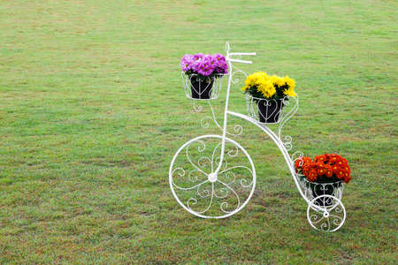 Red-yellow-purple flower pots placed on artificial bicycle and set in green lawn.の写真素材