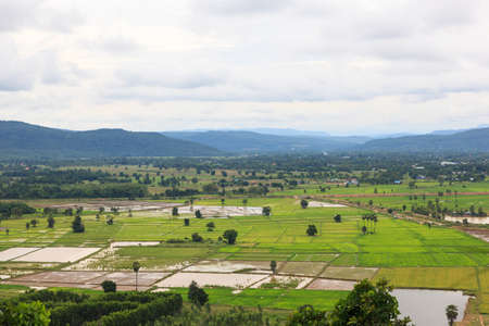 The area cultivation for farming of farmer in the rainy season of Thailand.の写真素材