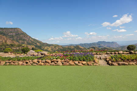 Resting place is artificial turf and flower garden on the hill.の写真素材