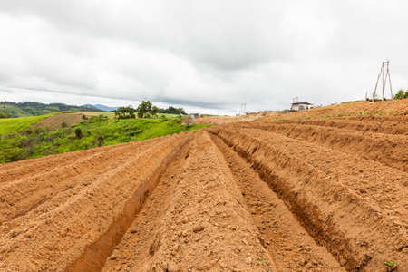 Preparation of soil for cultivation on mountain in the rainy season.の写真素材