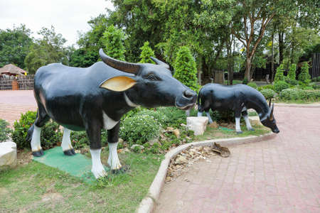 Buffalo sculpture with cement are beautiful in the garden.