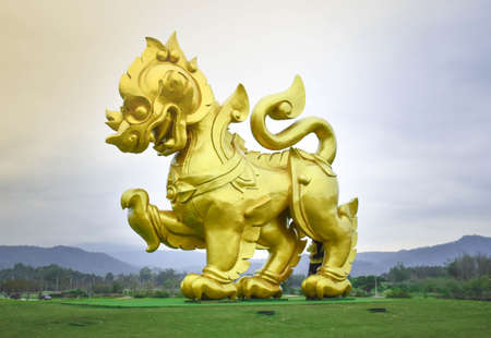 Big golden lion in width green field and sky sunset view in the background.