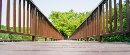wooden bridge in Thai community forest at Bang Kachao island, Thailandの写真素材