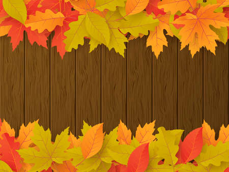 Autumn background with leaves. Can be used for poster, banner, flyer, invitation, website or greeting card. Vector illustrationのイラスト素材