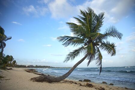 paradise beach, mexican caribbean coastの写真素材