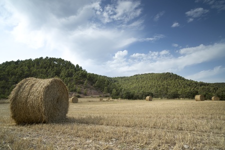 a harvested field with bales of hay and beautiful sky 