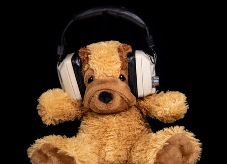 Teddy dog with headphonesの写真素材