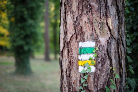 Tourist trail with yellow sign and green sign on the tree. Marked path for outdoor hikking.の写真素材