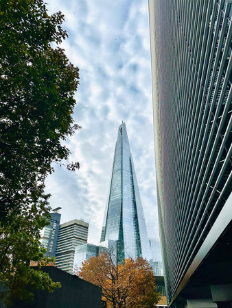 The Shard London Skyscraper Framed by Trees and Modern Glass Architecture in Urban Skyline