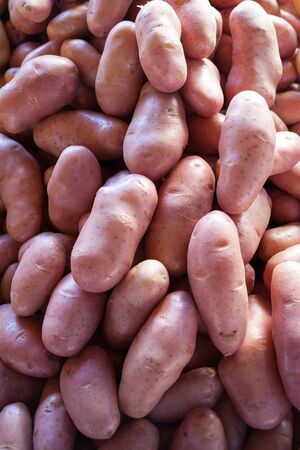 Sao Paulo, Brazil - 15 August, 2015 - potatos in a stall in a street market.の写真素材