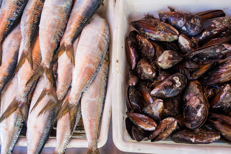 Sao Paulo, Brazil - 15 August, 2015 - sea food in a fish stall in a street market.の写真素材