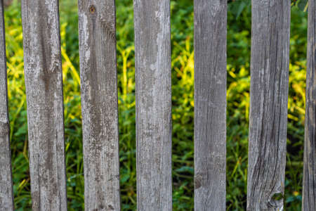 Wooden gray fence with vertical boards and greenery behind it in the background. Background and texture of a homemade fenceの写真素材