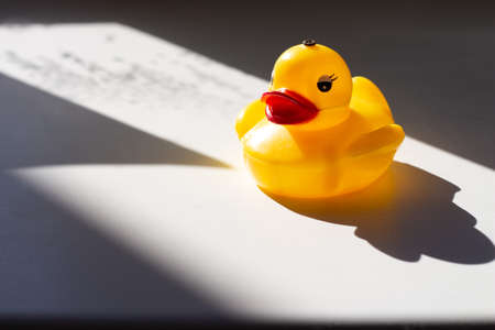 Rubber yellow duck with large red lips. Botox and artificial unnatural lips. Fashion and beauty. Light and shadowの写真素材