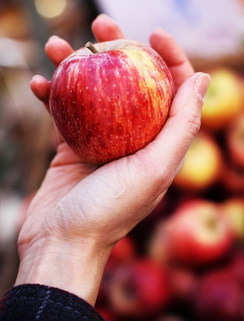red apple in the hand of womanの写真素材