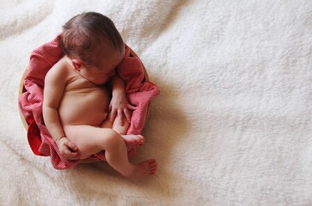 5 days old cute babyの写真素材