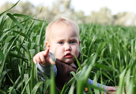 toddler in the green grass