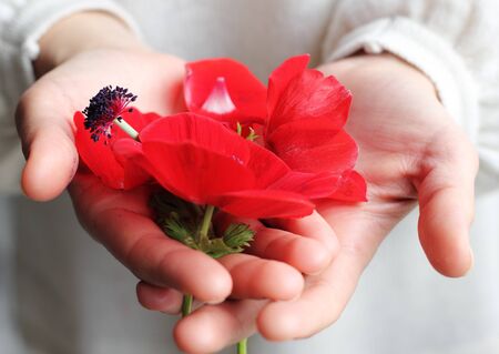 woman holding fitst spring flowersの写真素材
