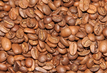 Coffee beans spread all over the floorの写真素材