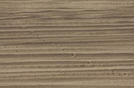 sand background on the beach の写真素材