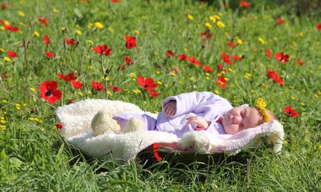month-old girl lying on white blanket next to the red poppiesの写真素材