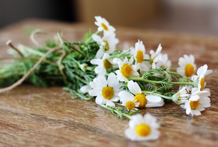 flower the first spring daisies in an old wooden tableの写真素材