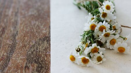 first spring daisies in an old wooden tableの写真素材