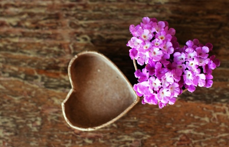 purple flowers  in a box for a gift  Soft Focusの写真素材