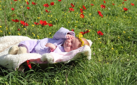 month-old girl lying on the grass next to the red poppiesの写真素材